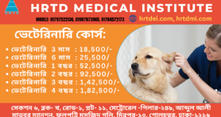 6 Months Local Medical Assistant In Veterinary Course