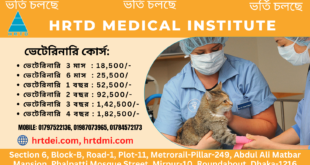 Diploma Medical Assistant in Veterinary (DMA Vet 1 Year)