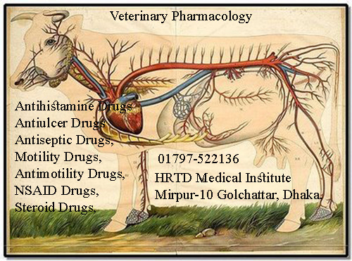 Veterinary Pharmacology Image